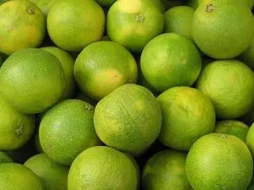 Mosambi