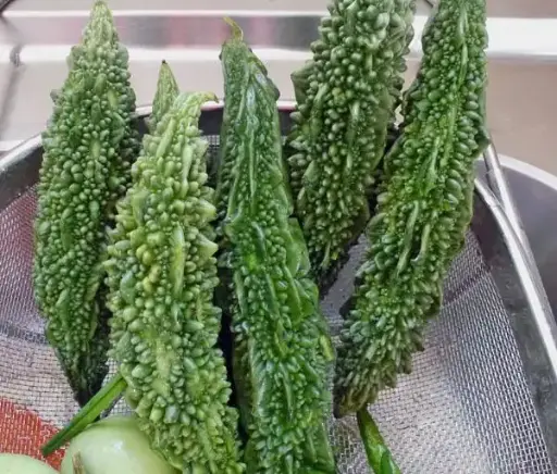 Bitter Gourd