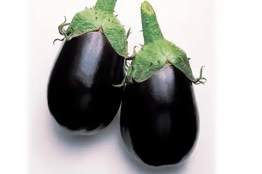 Egg Plant