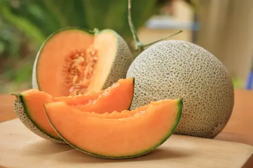 Musk melon