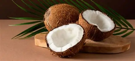Coconut