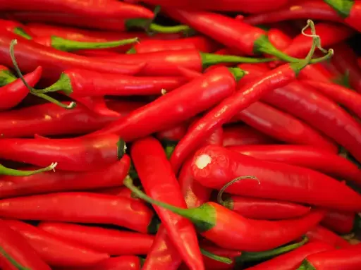 Red Chilli