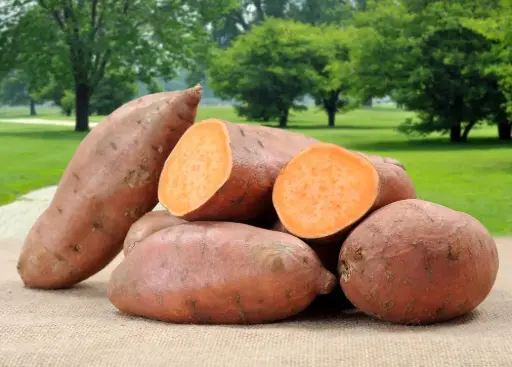 Sweet Potato